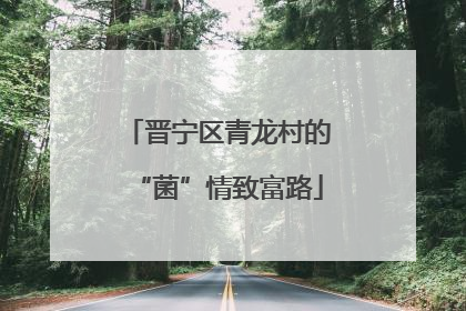 晋宁区青龙村的“菌”情致富路